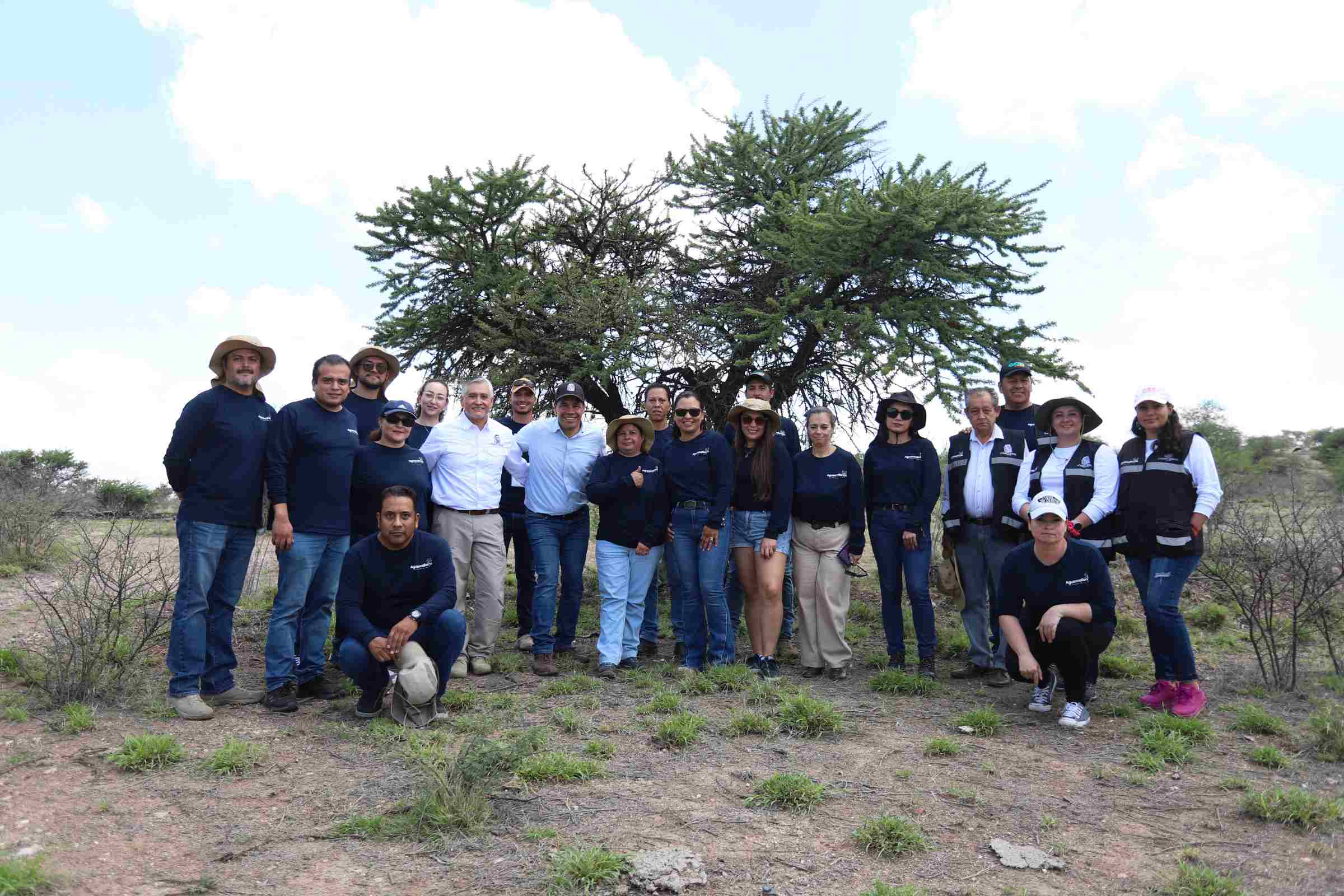 Conmemora @MunicipioAgs el Día Mundial del Árbol con reforestación en Cobos