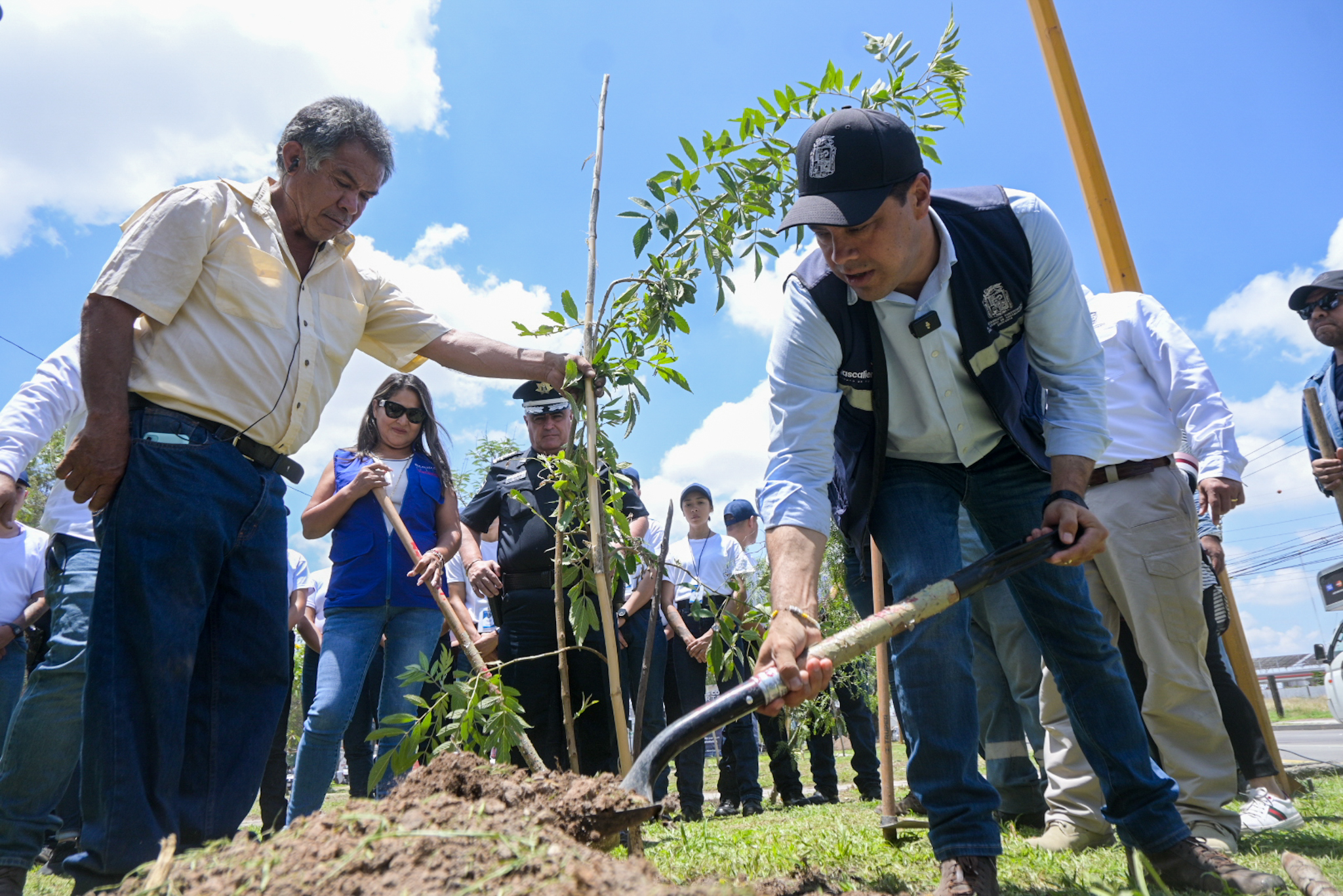 @MunicipioAgs y empresas reforestan camellones de Ags