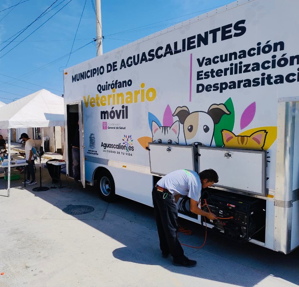 Llevará a cabo @MunicipioAgs campaña de esterilización canina y felina