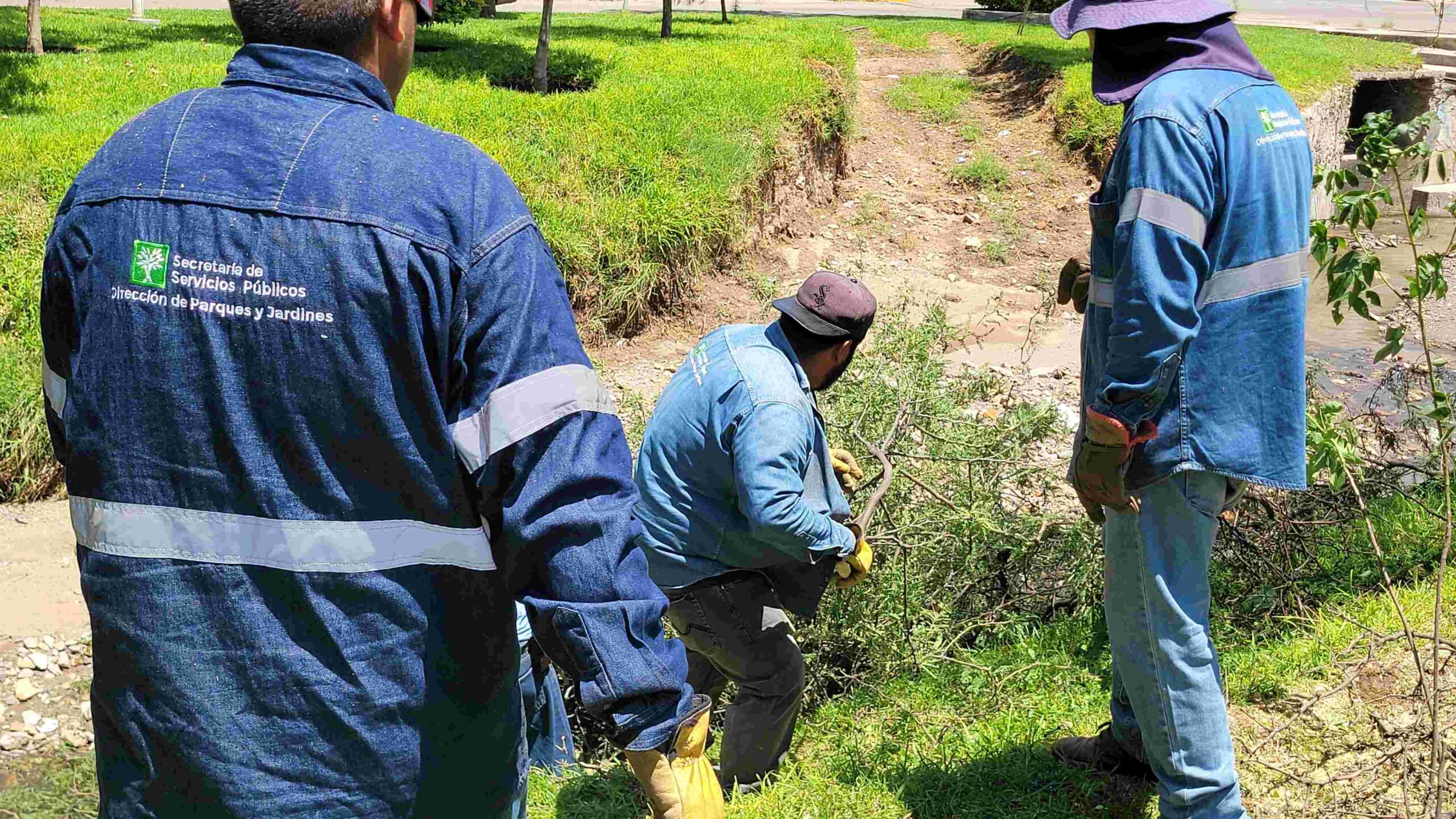 Aumenta @MunicipioAgs atención a reportes de ramas caídas por lluvias